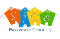 Brazoria County